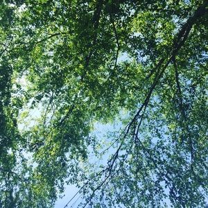 Meet your Posher, Bella